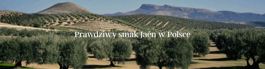 header 14 1024x269 1